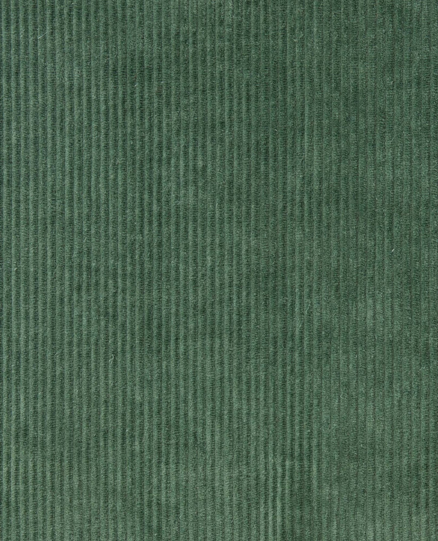 Cascadia Jumper